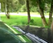 У обочины остановились и занялись сексом